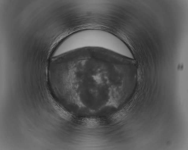 X0000088880349200706291609