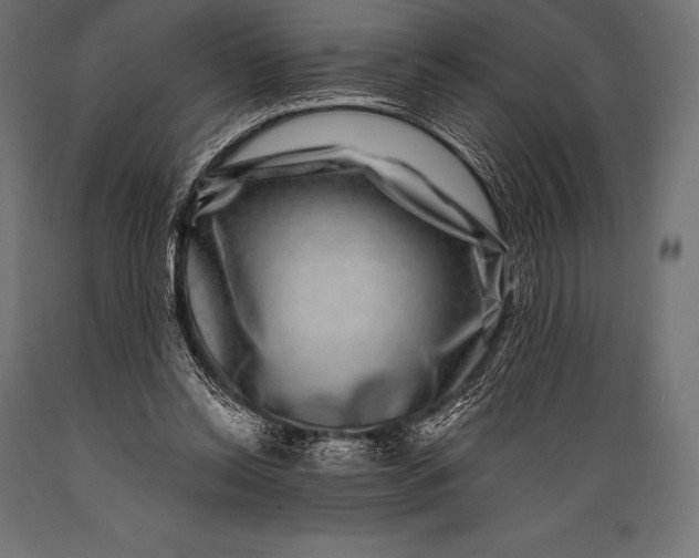 X0000088880350200706291609