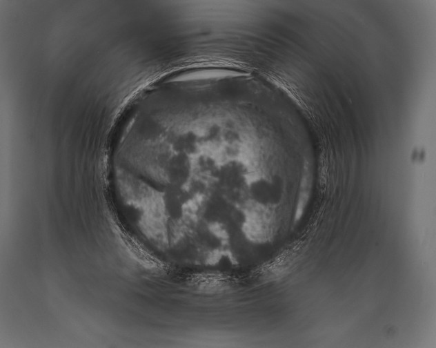 X0000088880351200706291609