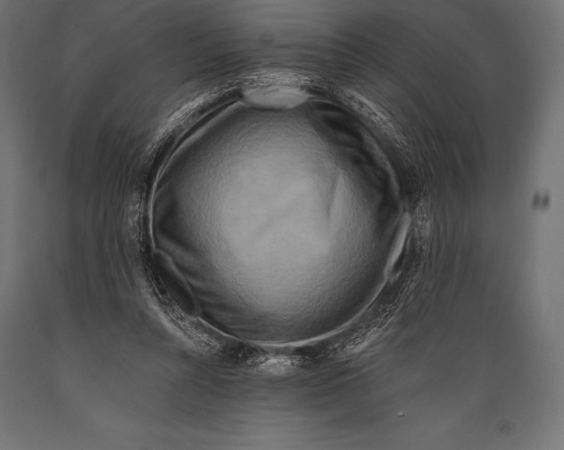 X0000088880352200706291609