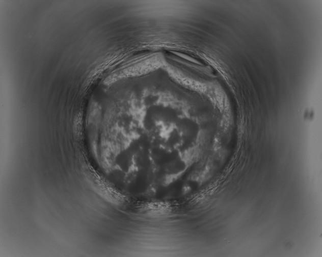 X0000088880353200706291609