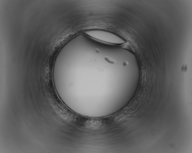 X0000088880354200706291609