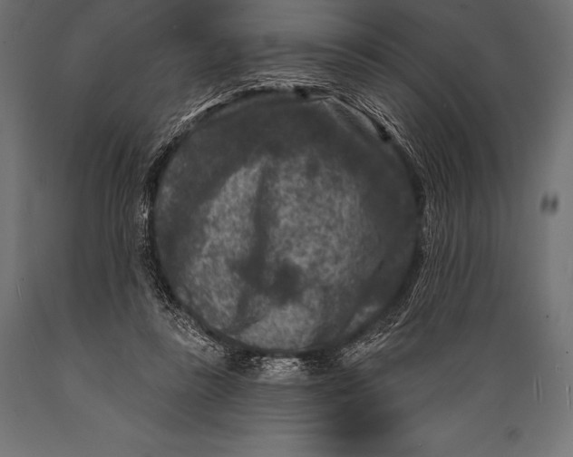 X0000088880355200706291609