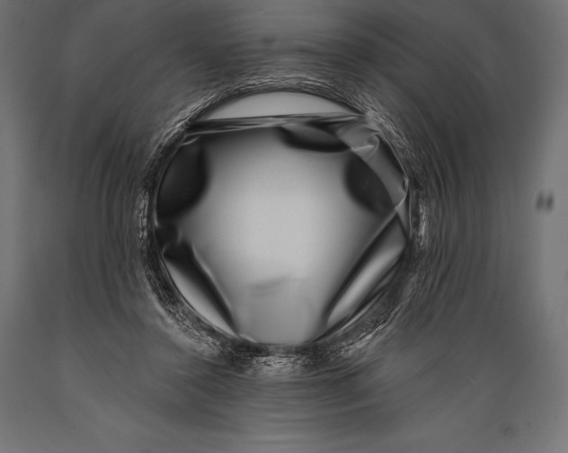 X0000088880356200706291609