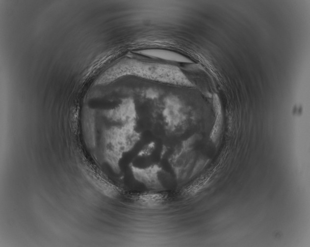 X0000088880357200706291609