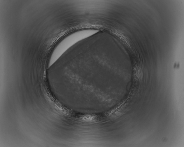 X0000088880358200706291609