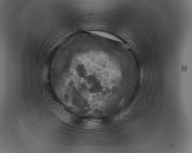 X0000088880359200706291609