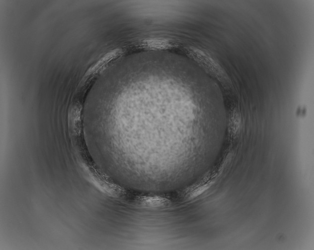 X0000088880360200706291609