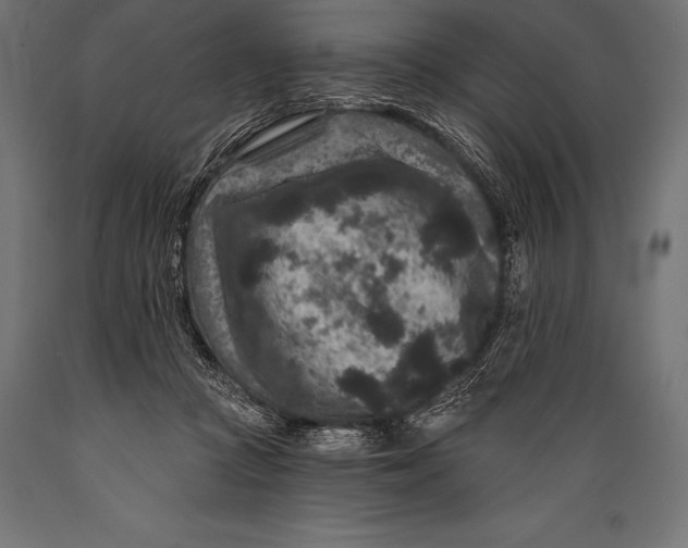 X0000088880361200706291609