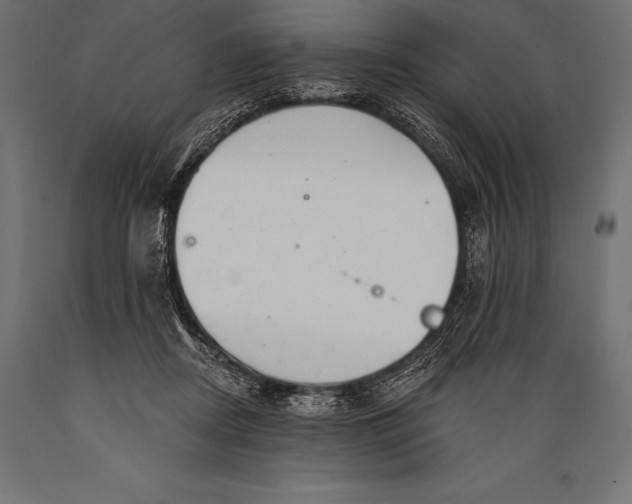 X0000088880362200706291609