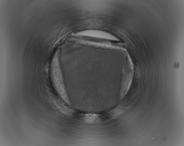 X0000088880363200706291609