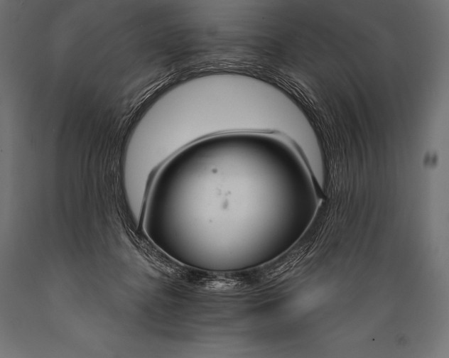 X0000088880364200706291609