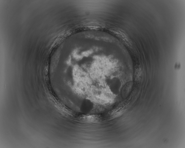 X0000088880365200706291609