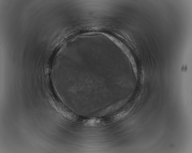 X0000088880366200706291609