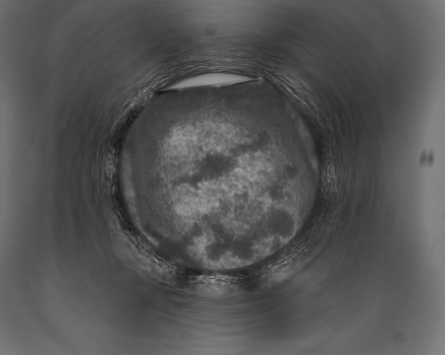 X0000088880367200706291609