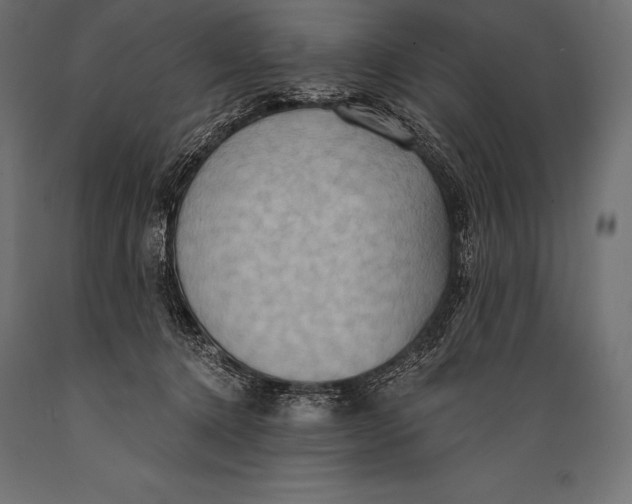 X0000088880368200706291609