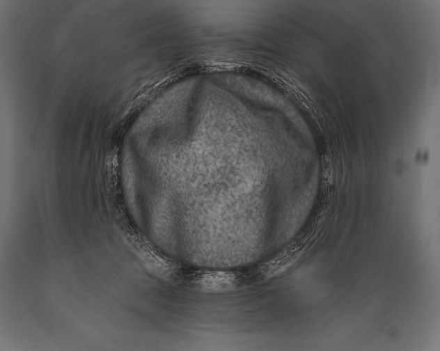 X0000088880369200706291609