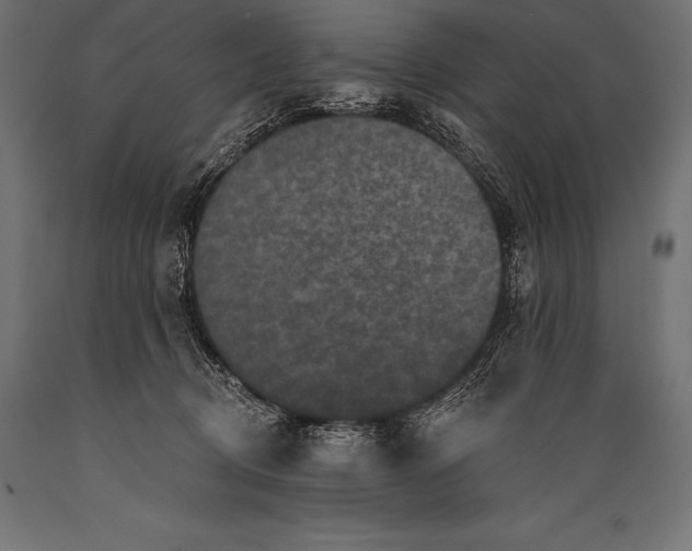 X0000088880370200706291609