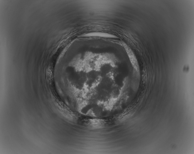 X0000088880371200706291609