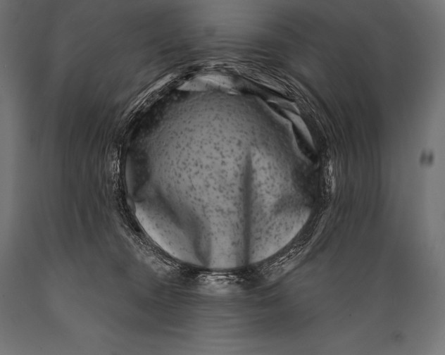 X0000088880372200706291609