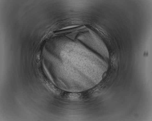 X0000088880373200706291609