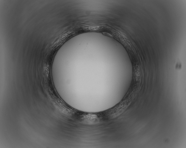 X0000088880374200706291609