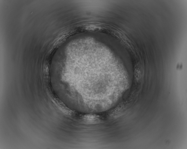 X0000088880375200706291609