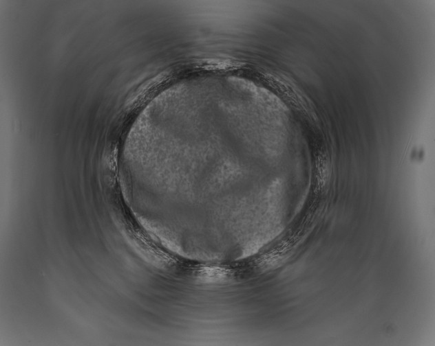 X0000088880376200706291609