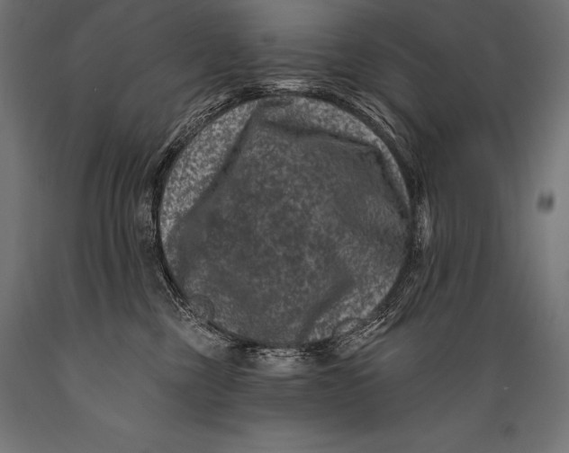 X0000088880377200706291609