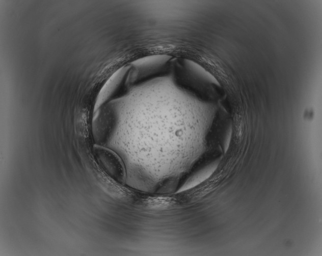 X0000088880378200706291609