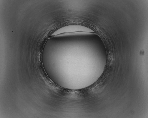 X0000088880379200706291609