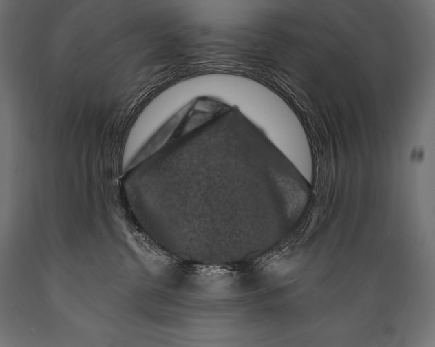 X0000088880380200706291609