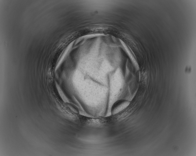 X0000088880381200706291609