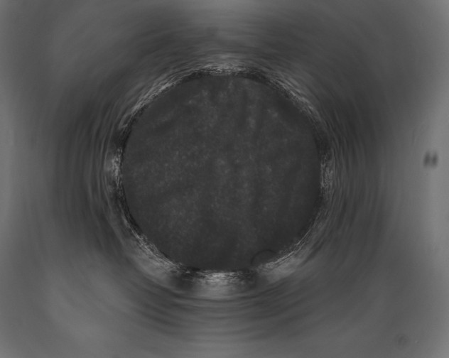 X0000088880382200706291609