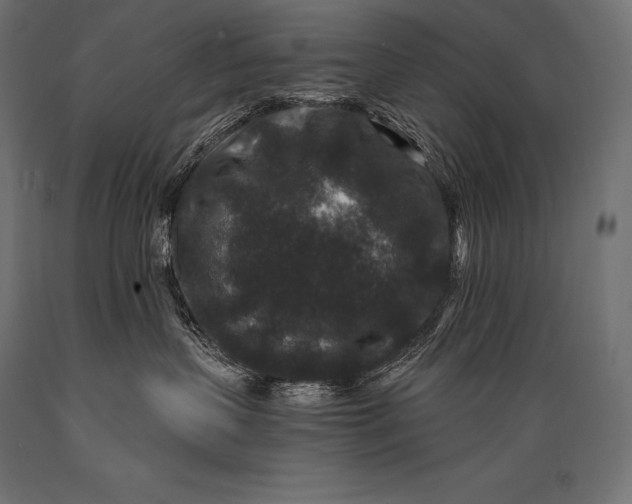 X0000088880383200706291609