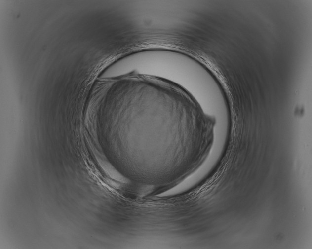 X0000088880385200706291609