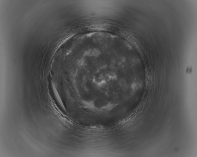 X0000088880386200706291609