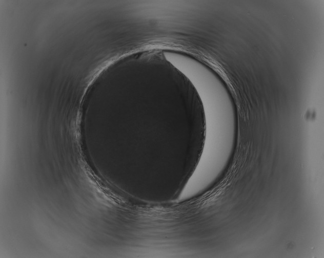 X0000088880387200706291609