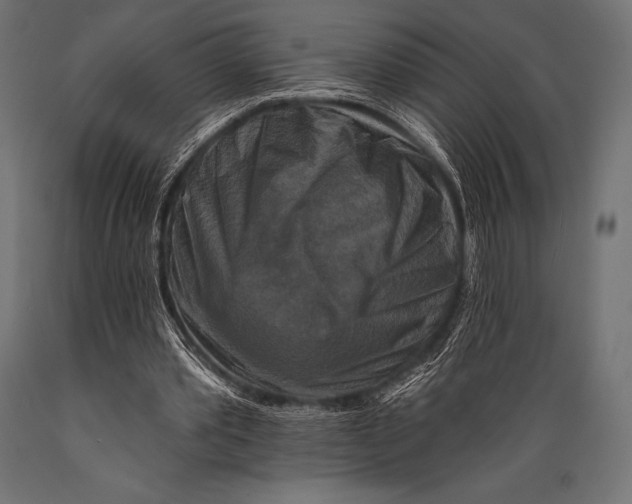 X0000088880389200706291609