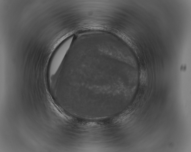 X0000088880390200706291608