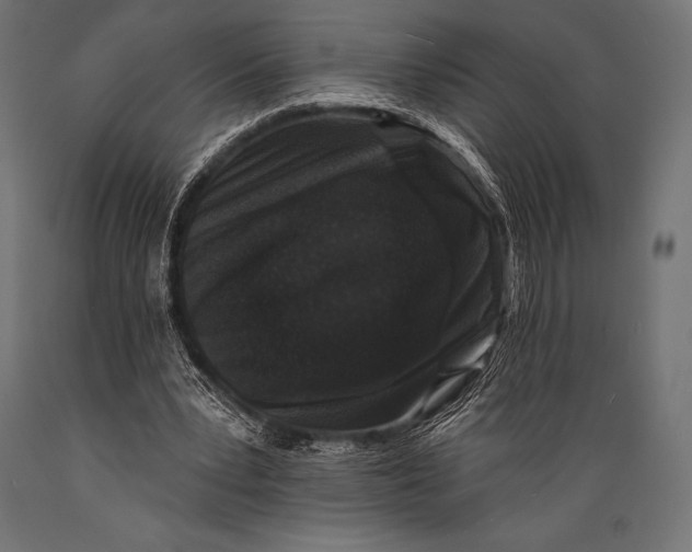 X0000088880391200706291608