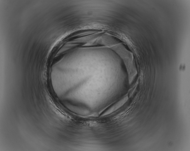 X0000088880392200706291608