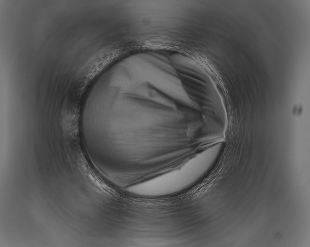 X0000088880393200706291608