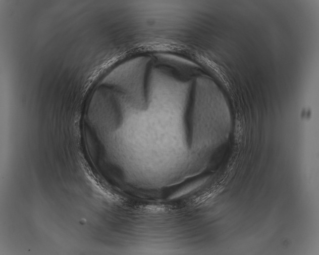 X0000088880394200706291608