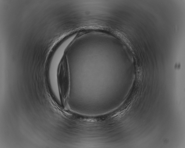 X0000088880395200706291608