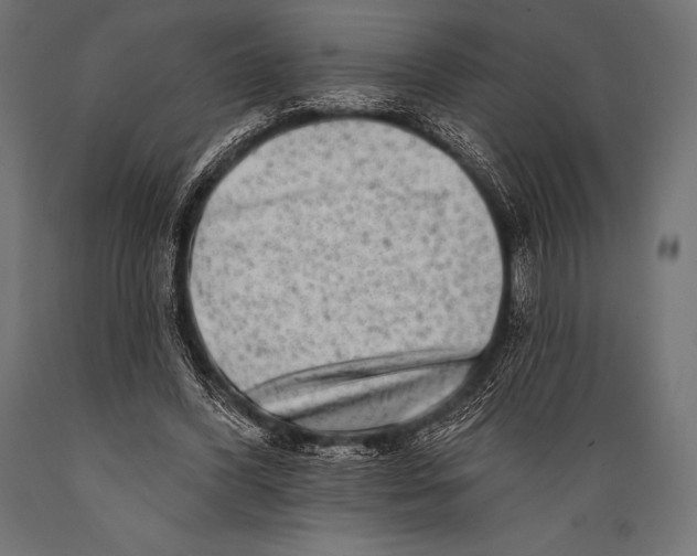 X0000088880396200706291608