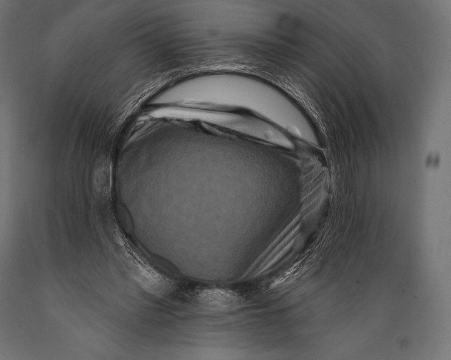 X0000088880397200706291608