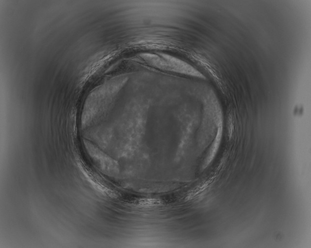 X0000088880398200706291608