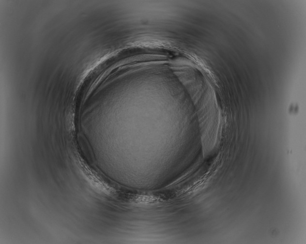 X0000088880399200706291608