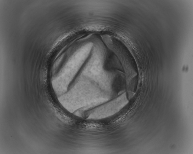 X0000088880400200706291608